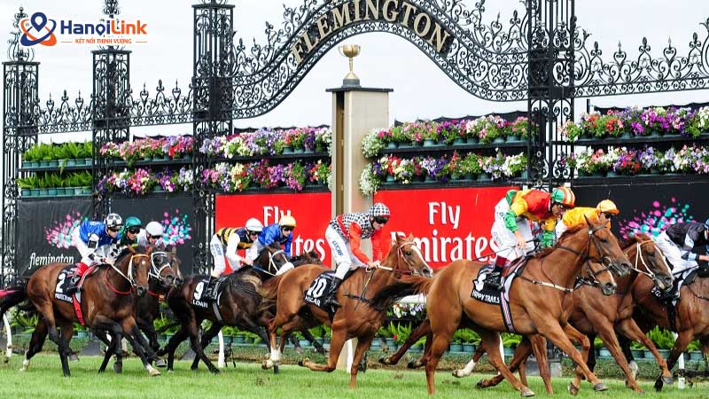 Lễ Hội Melbourne Cup (Melbourne Cup Festival) trong văn hóa úc